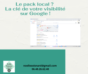 pack local fiche google business